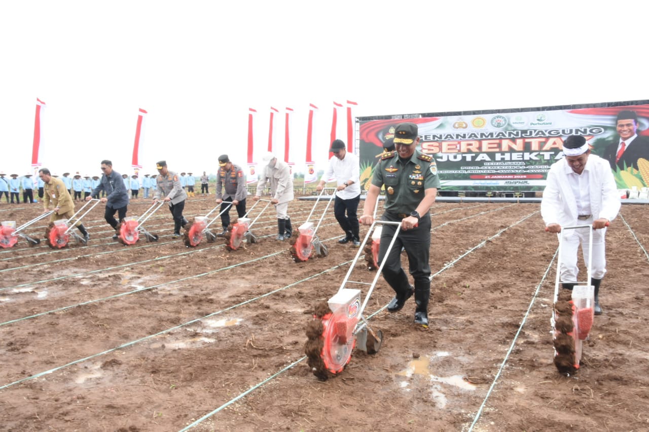 Sinergi TNI, Polri, dan Kementan: Tanam Jagung Serentak 1 Juta Hektar di Subang