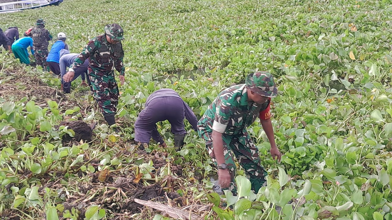 Prajurit Kodim 0615/Kuningan dan Warga Gotong Royong Bersihkan Enceng Gondok di Waduk Darma