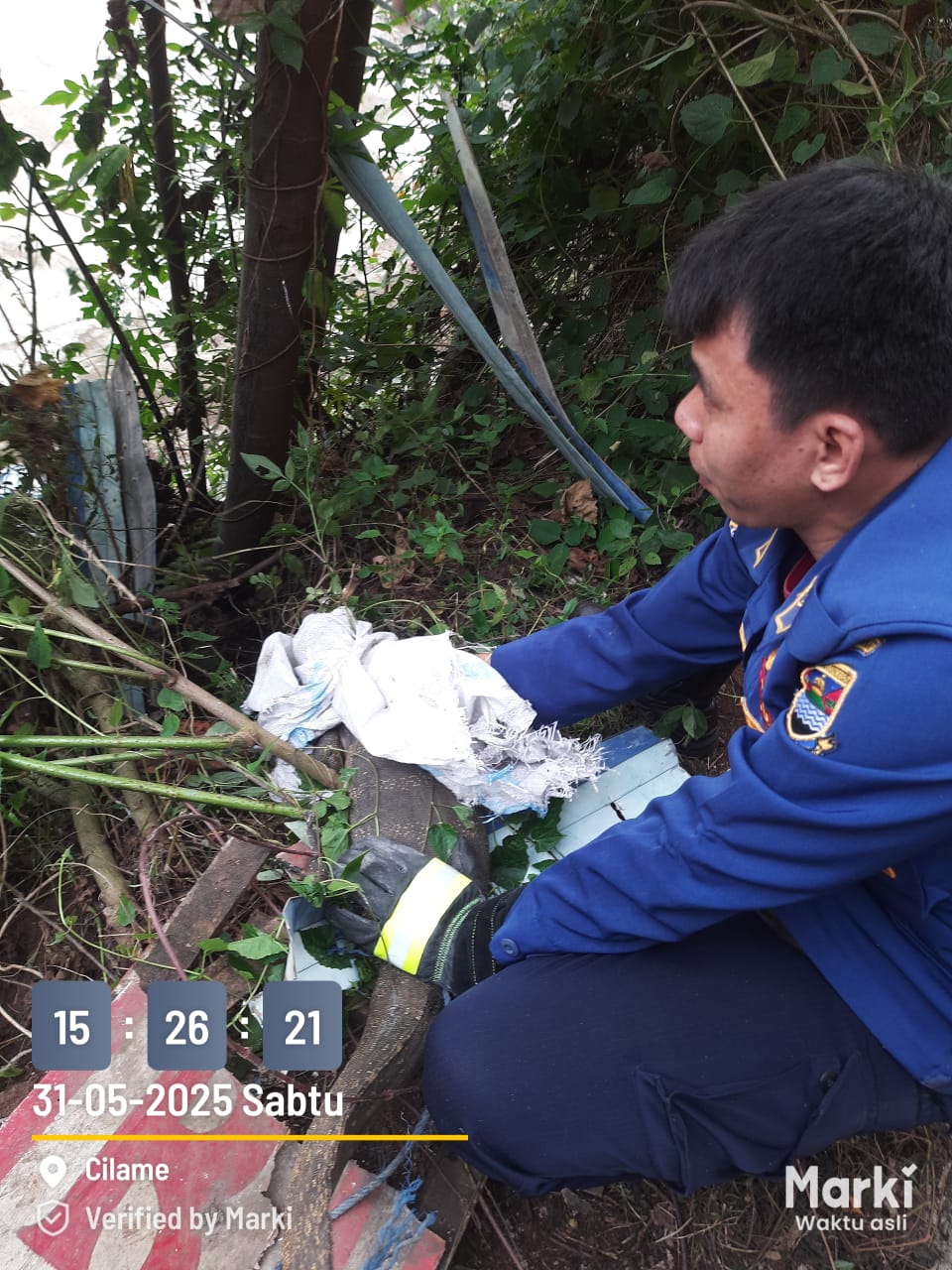 Damkar KBB Evakuasi Biawak di Komplek Bukit Permata Ngamprah