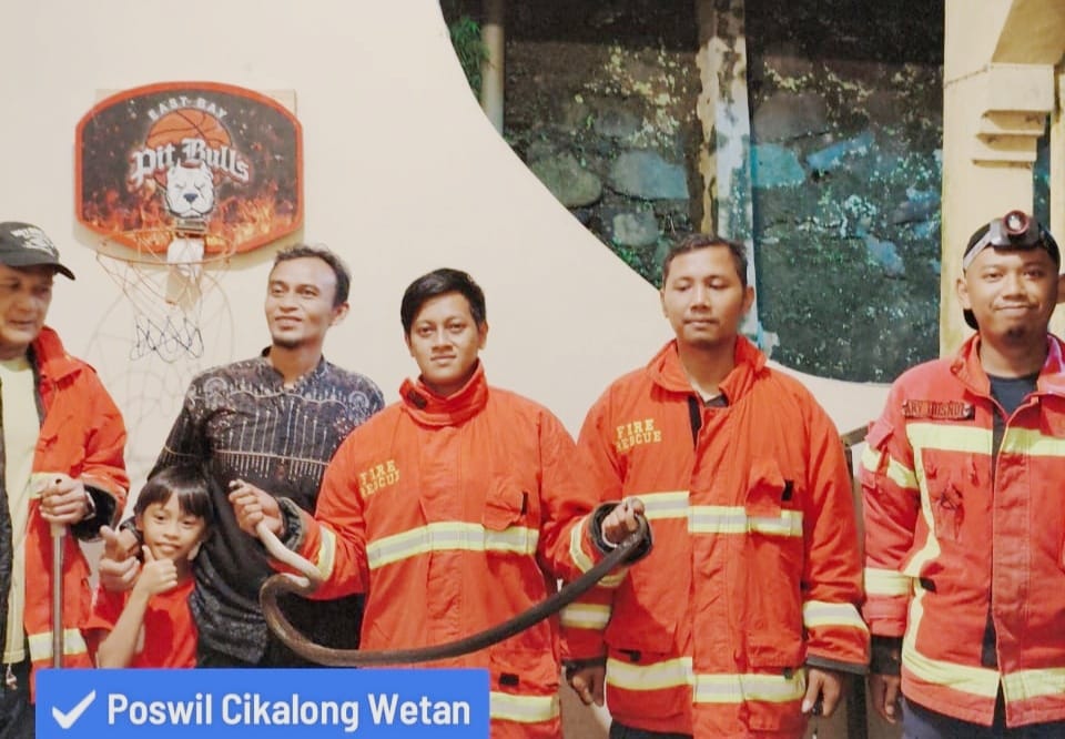 Damkar KBB Tangkap Ular di Rumah Warga Ciptagumati Cikalong Wetan