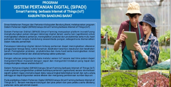 DKPP KBB Luncurkan Sipadi: Smart Farming Berbasis IoT untuk Dukung Swasembada Pangan