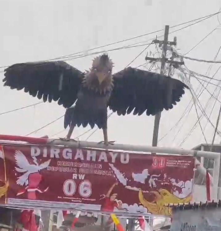 PAKAR Dukung Karya Spektakuler Warga RW 06 Jati Handap: Burung Garuda Hidup Sambut HUT RI ke-80