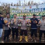 Oplus_131072